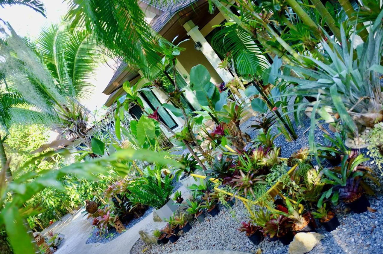 The Nature House Aonang Krabi Thailand Ao Nang Buitenkant foto