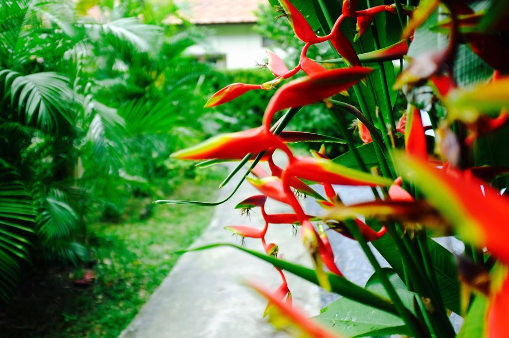 The Nature House Aonang Krabi Thailand Ao Nang Buitenkant foto